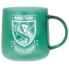 Hallmark Harry Potter™ Slytherin™ Glass Mug -Hario Store 0001HPO1066