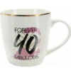 Forever 40 Fabulous 17 Oz. Mug -Hario Store 12202