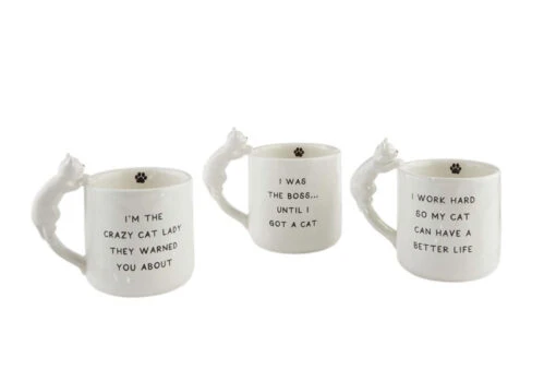 I'm The Crazy Cat Lady They Warned You About Boxed Mug With Sculpted Cat Handle -Hario Store 43500108C 2