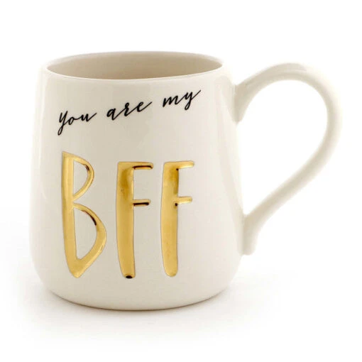 Our Name Is Mud You Are My BFF Mug -Hario Store 6000523 high res