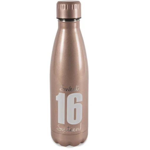 Sweet 16 Birthday Stainless Steel Water Bottle 18 Oz. -Hario Store 61103