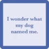 I Wonder What My Dog Named Me Coaster -Hario Store dognamed 600x600 d6372c6c 2646 4156 a61b ca44615f396e